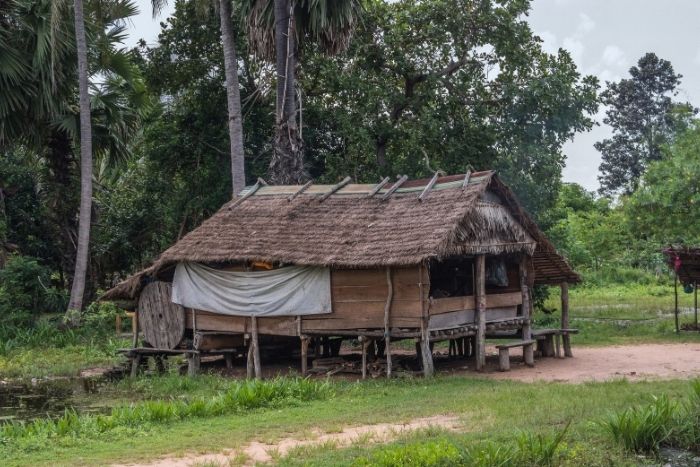 Experience the natural beauty of Kratie's countryside