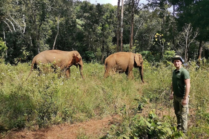 What to do in Mondulkiri? Visit Mondulkiri Project for a meaningful jungle walk