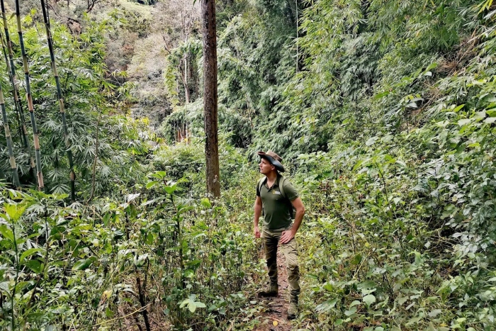  Trekking in Mondulkiri: more about feeling than just seeing