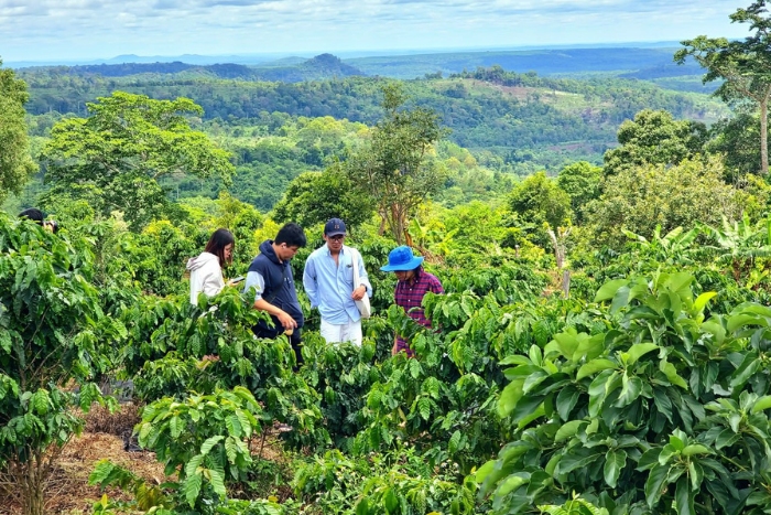  Rainy day in Mondulkiri? Perfect for local farm visits