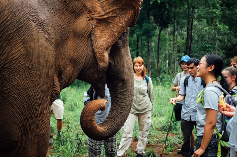 A special moment with elephants — the true stars of Mondulkiri