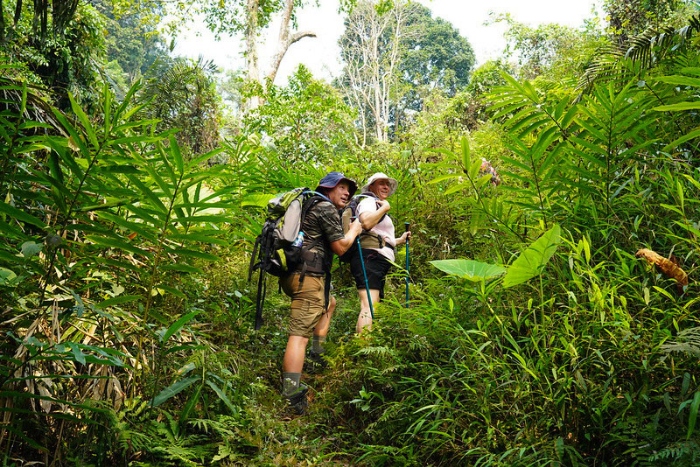 Trekking through Mondulkiri’s dry season forests