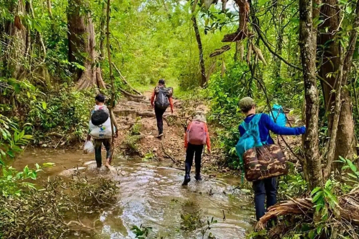 Walk through misty trails and wild streams