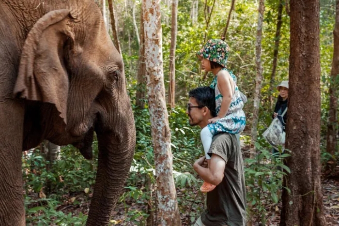 Elephant sanctuary in Mondulkiri