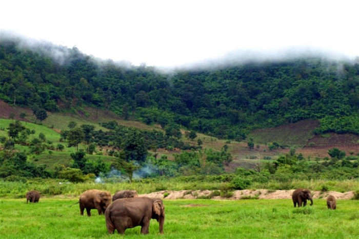 Mondulkiri with kids