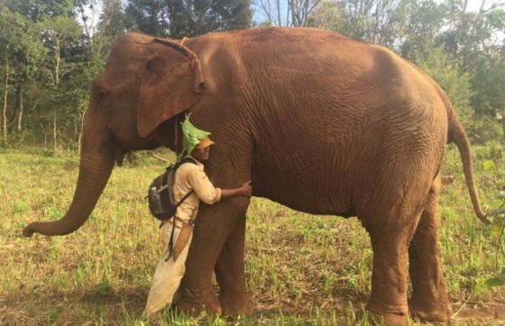 What To Do In Cambodia? Top 10 Best Things To Do In Mondulkiri