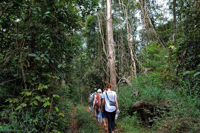 Mondulkiri Protected Forest