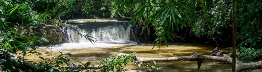 Top 10 Best Things to Do in Mondulkiri