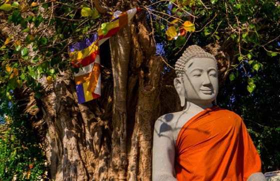 Explore Phnom Penh City Tour By Reviewing With Miss Mabel