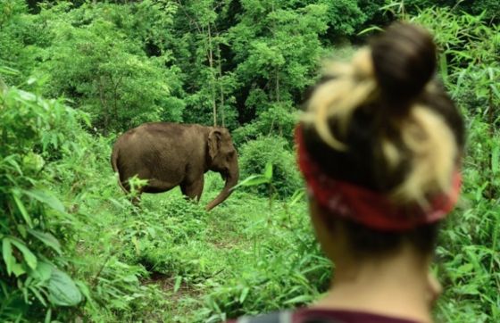 Top 20 Things To Do In Cambodia