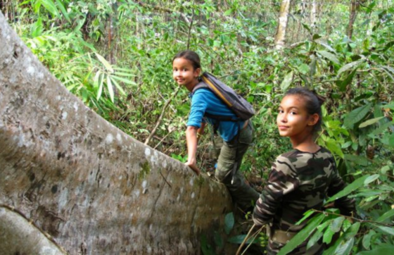 What To Do In Ratanakiri Cambodia? Top Things To Do And See In Ratanakiri