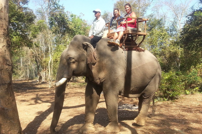 Experience elephant rides – an exciting activity when visiting Ratanakiri