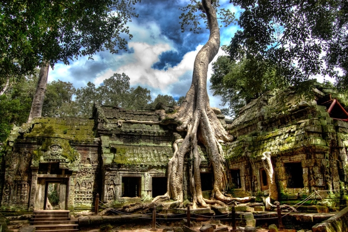 Visit Ta Prohm, a temple engulfed by tree roots