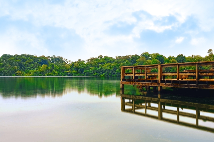 Wooden boardwalks over the lake