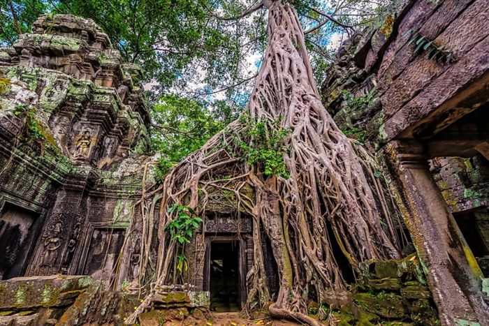 Ta Prohm - the temple of strange tree roots