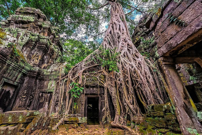 The rainy season in Siem Reap is a great time to explore the temples while avoiding the crowds