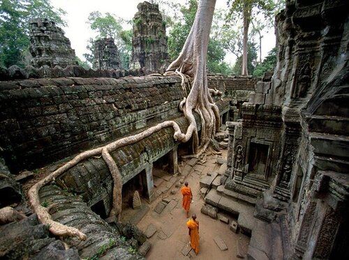 Visit Ta Prohm Temple In Angkor Complex When Travelling To Cambodia