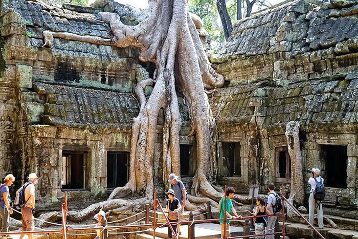 Tourists visit the Knia tree area when traveling to Ta Prohm