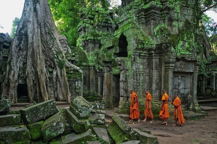 Ta Prohm Temple in Angkor Complex 