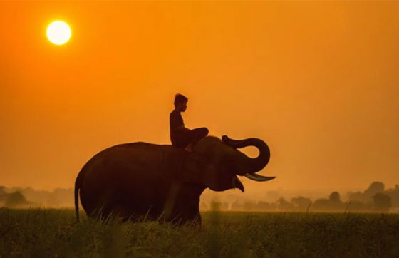 Top 10 Best Things To Do And See In Siem Reap, Cambodia