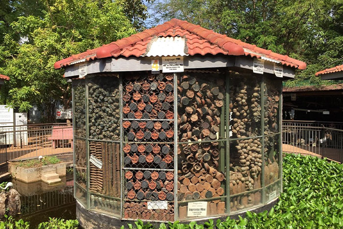 Cambodia Landmine Museum - Interesting place in Siem Reap