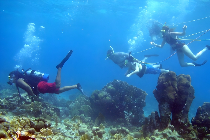 Explore the colorful ocean world of Koh Rong Island