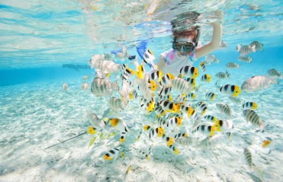 Where To Eat In Koh Rong? Top 05 Best Restaurants In Koh Rong