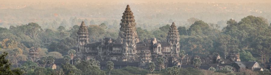 Respecting the rules for bringing a pet to Cambodia helps avoid problems when you arrive