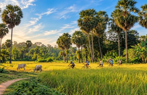 Agritourism In Cambodia - Complete Guide And Best Experiences