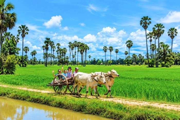 Agricultural tour in Cambodia - Immersion in rural daily life
