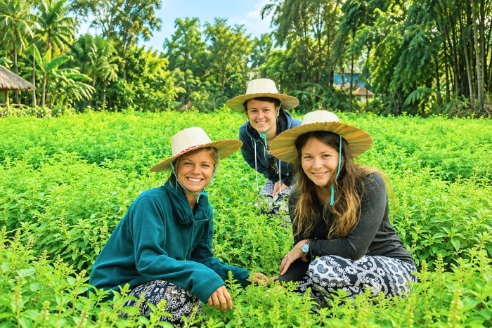 Rural experiences in Cambodia - A journey of nature and local encounters
