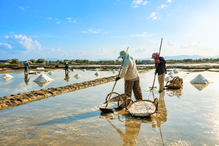 In the heart of Kampot&rsquo;s salt fields