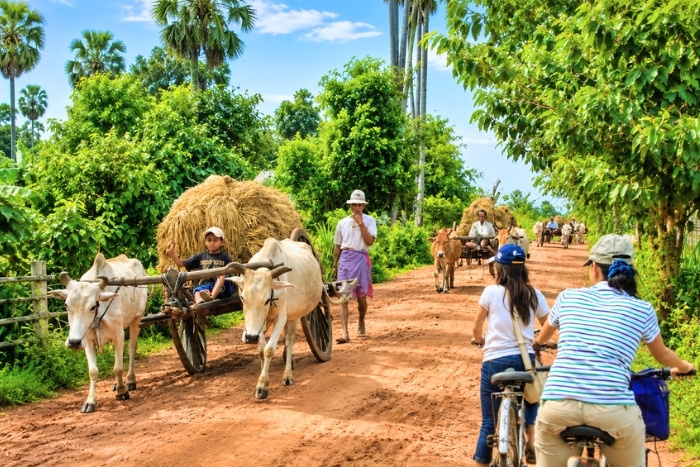 Best time for agritourism in Cambodia