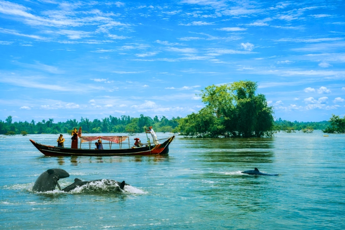 Magical encounter with the Irrawaddy dolphins