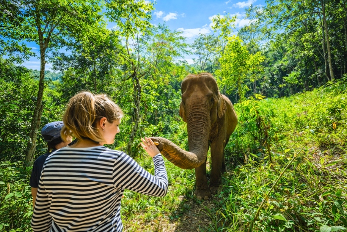 Discover elephants in Mondulkiri with kids on an organized trip to Cambodia