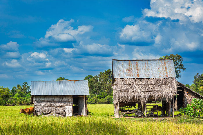 Wet season - best time to visit the countryside in Cambodia 