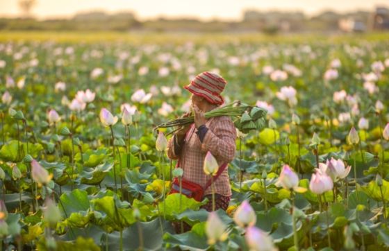 Where To Visit In Cambodia To See Ethnic Groups?