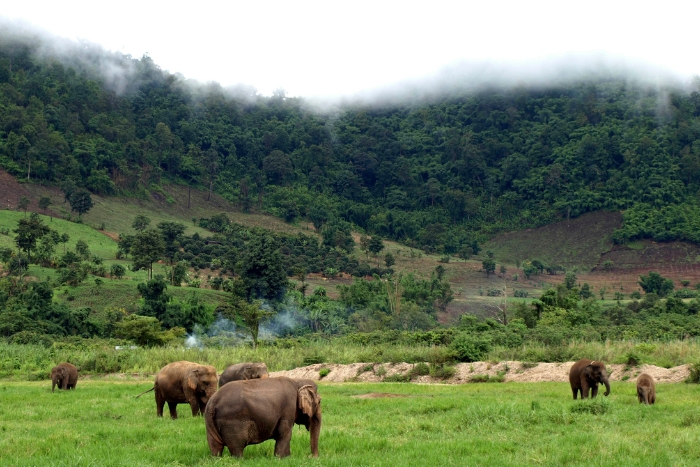 Mondulkiri: Admire the authentic nature in Cambodia in March