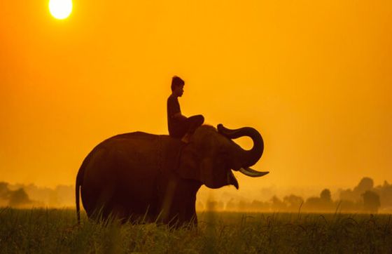 Private Cambodia Tours Last Minute : Unique And Tailor-made Tours To Cambodia