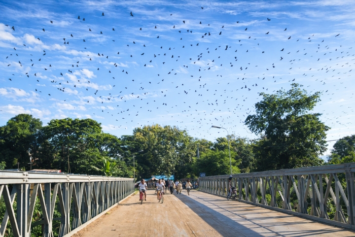 Sunset at Phnom Sampeau Battambang with the bat flight