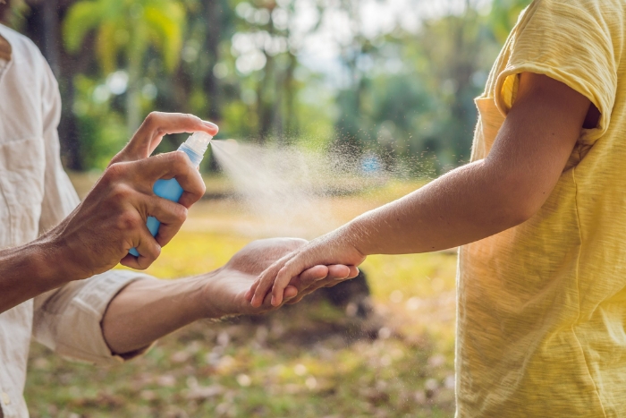 Preventing Mosquito Bites While Traveling to Cambodia