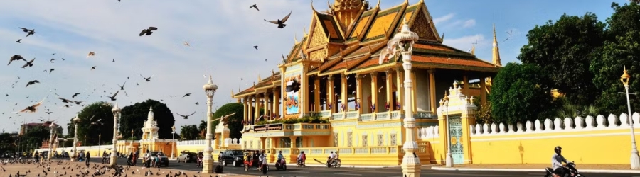 Vaccinations for Cambodia: Everything you need to know