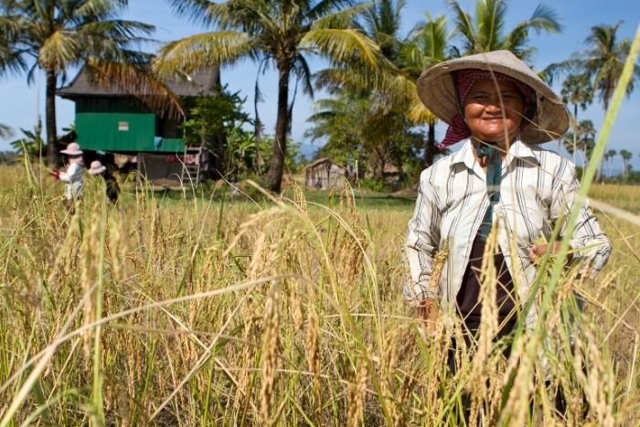 Between rice fields and villages, enjoy a peaceful escape from the usual tourist routes 