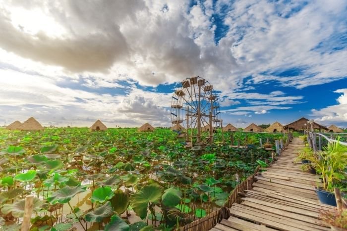 Immerse yourself in the peaceful world of Cambodia&rsquo;s lotus fields 