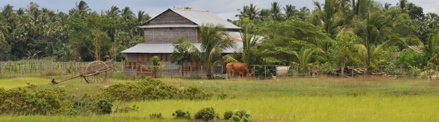 Leave the big cities behind and find peace among the rice fields