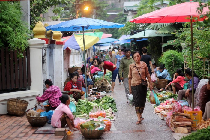 Fresh produce and local flavors await at the vibrant Luang Prabang morning market