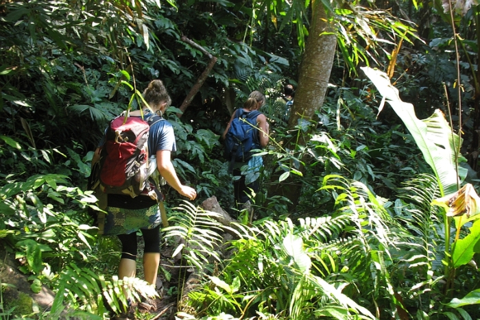 Trekking in Nam Ha National Park
