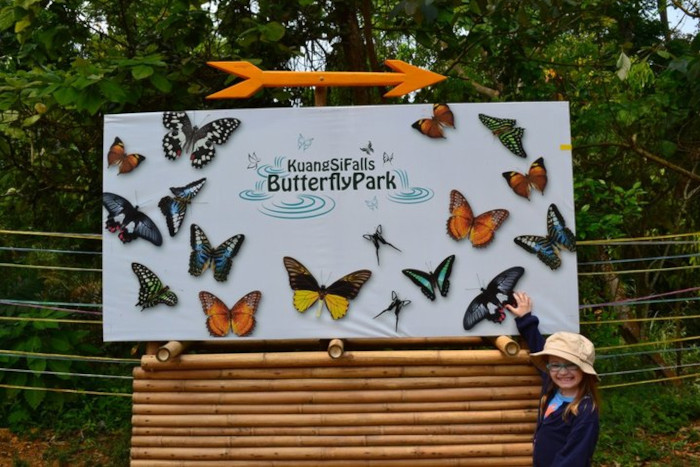 Discover vibrant nature at Kuang Si Butterfly Park—a serene highlight of any Luang Prabang itinerary 3 days