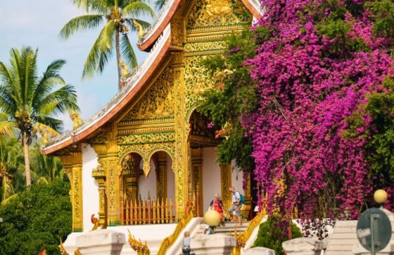 Best Laos Summer Itineraries For Family Trips