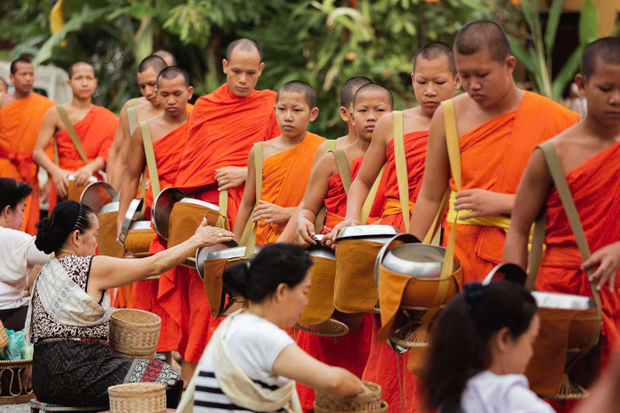 Monks participating in the sacred alms giving ceremony at dawn, a serene moment during 2 weeks in Laos